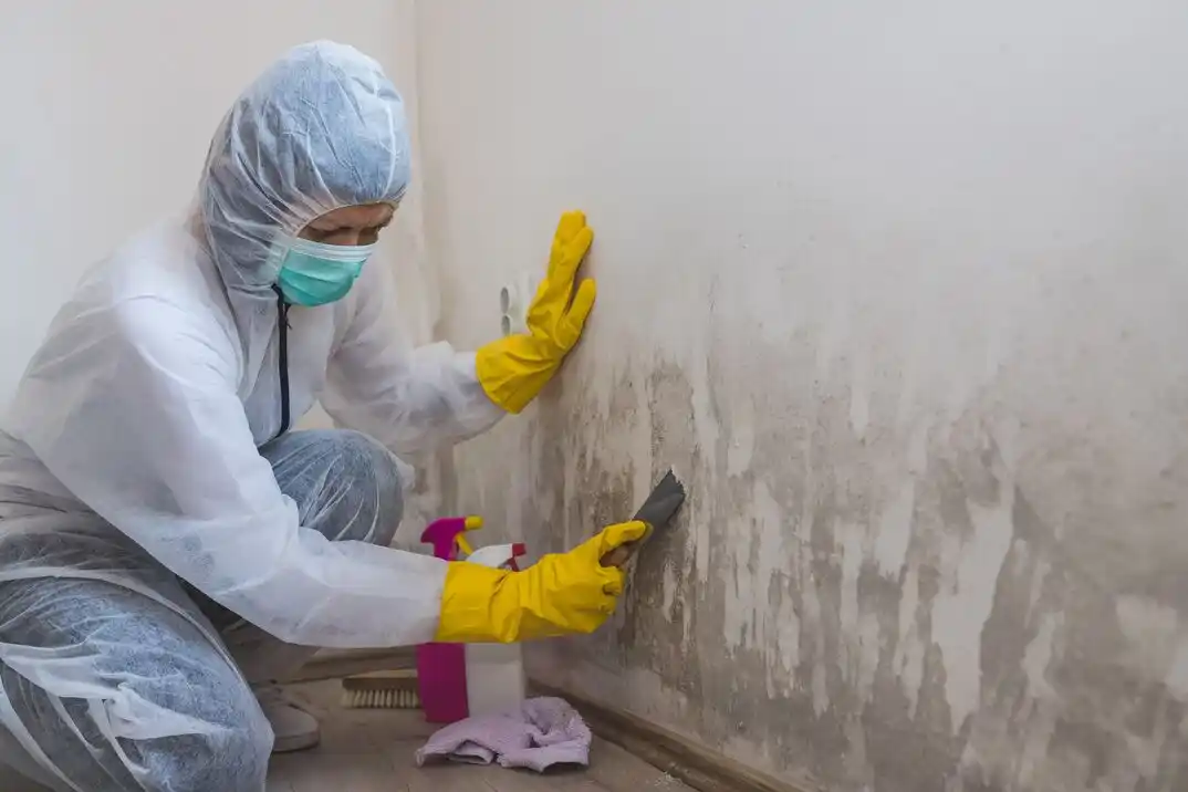 water damage restoration service High Resort